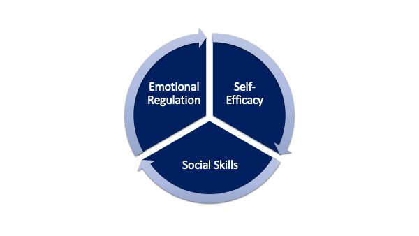 Image of pie chart showing segments of "emotional regulation", Self-Efficacy", and Social Skills"